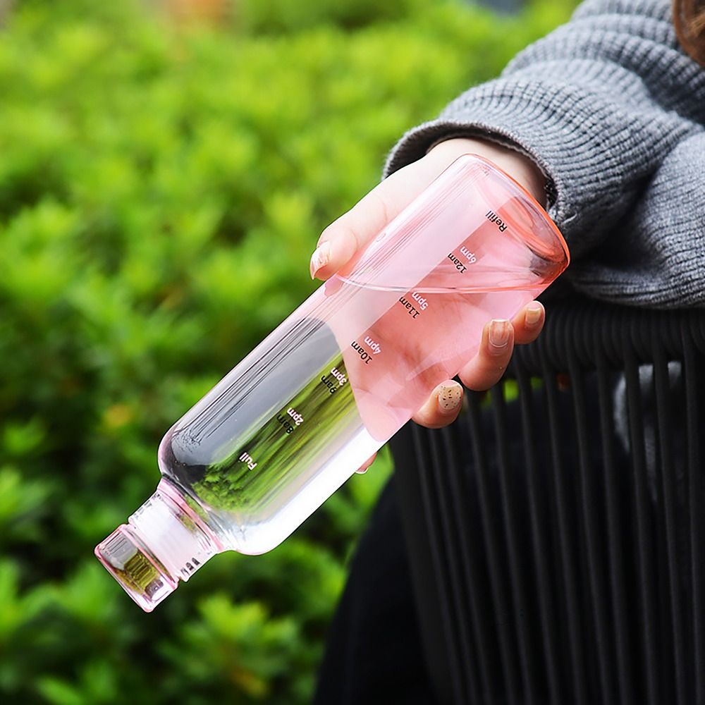500/750ML Water Bottle INS Sty – Coffee Tea Flask Bewertung und Preis